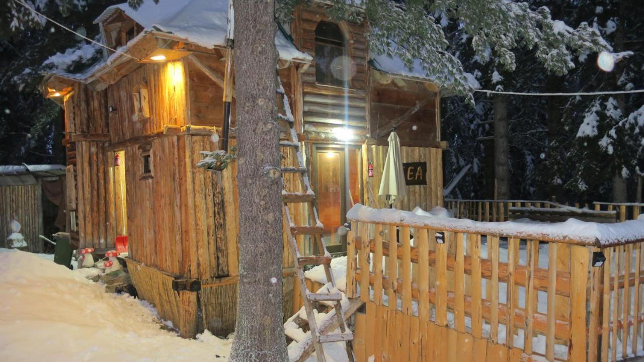 Pinetrees Lodge Plav Exterior foto